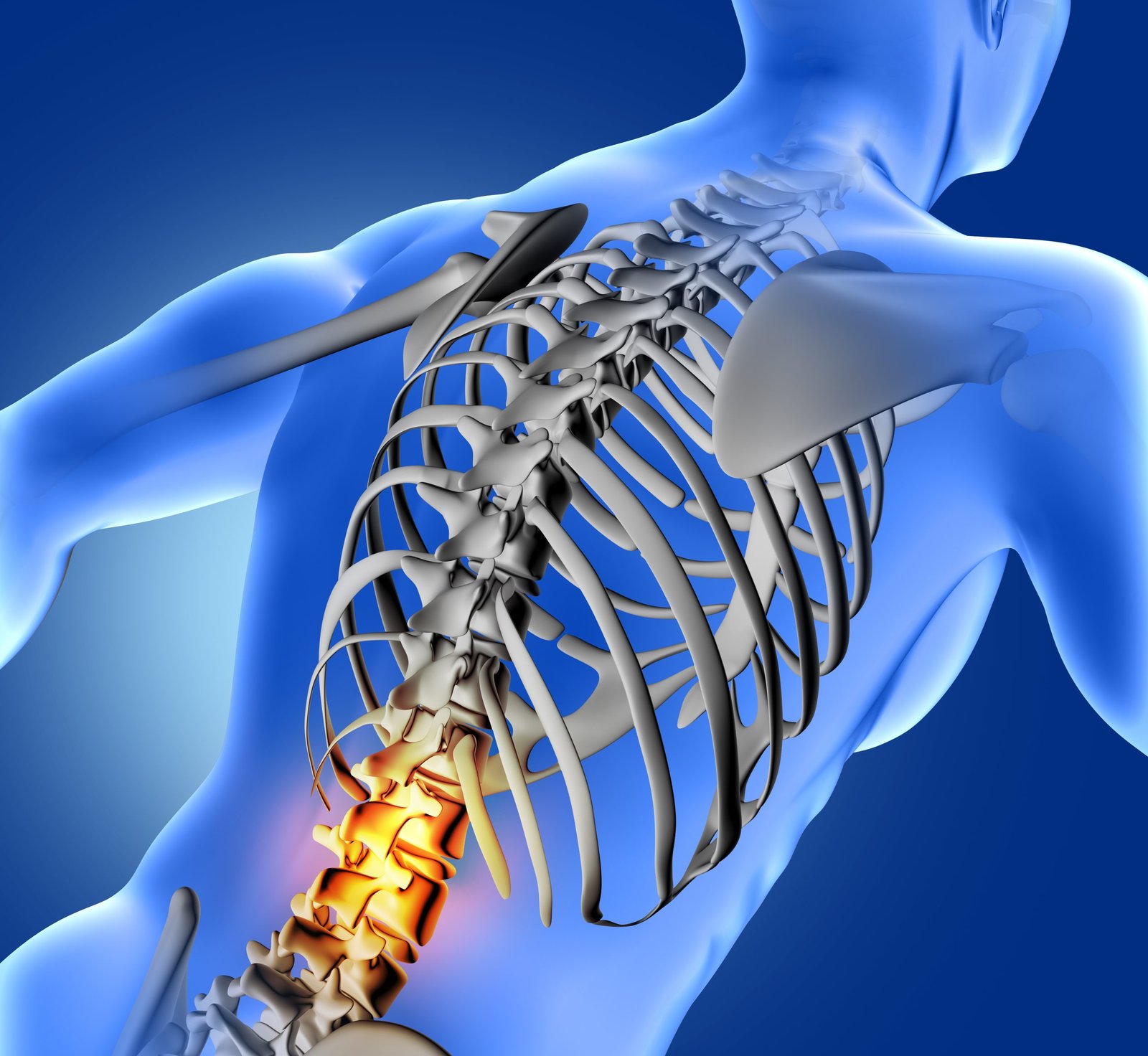 pain lower part column scaled